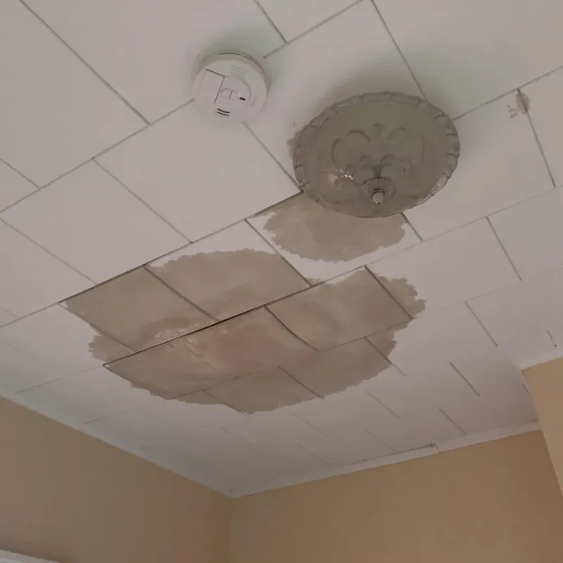 Ceiling Water Damage Repair in Braidwood, IL