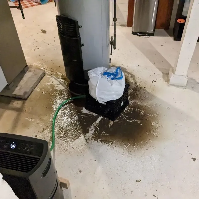 Sewage Backup Cleanup Service in Braidwood, IL